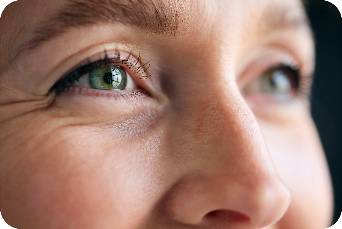 What “find your dream” actually means